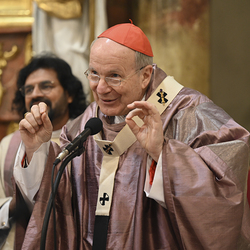 25 Jahre Stadterhebung Gerasdorf / www.markus-goestl.at