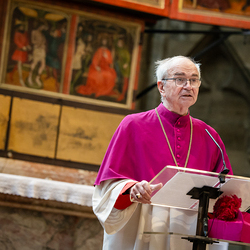 Erzdiözese Wien/ Schönlaub, Stephan Schönlaub