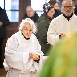 Erzdiözese Wien/Schönlaub